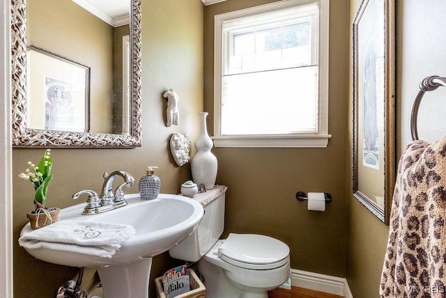 17 Briar Hill Rd, Orchard Park, NY 14127 - photo 21