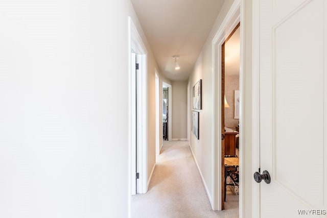 17 Briar Hill Rd, Orchard Park, NY 14127 - photo 26