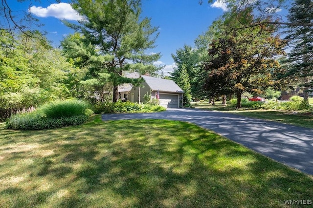 17 Briar Hill Rd, Orchard Park, NY 14127 - photo 6