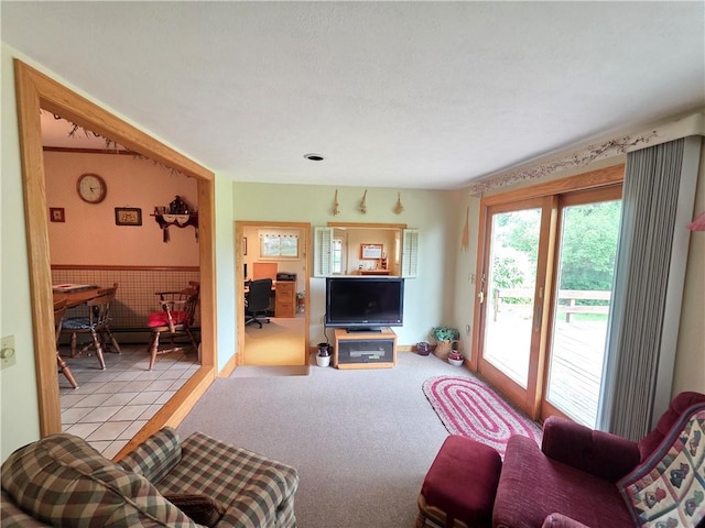 7910 Rte 49, Elkland, PA 16920 - photo 16