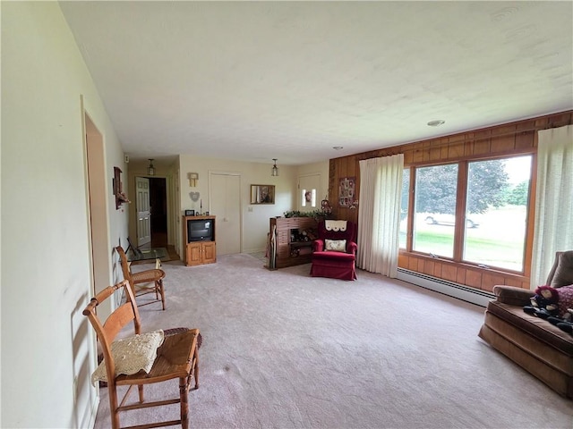 7910 Rte 49, Elkland, PA 16920 - photo 28