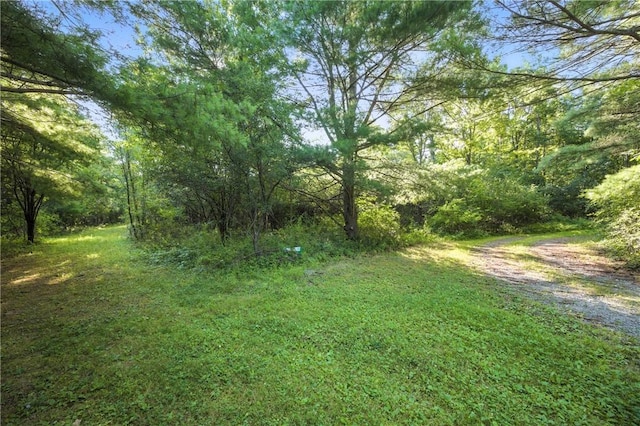 Silsbee Rd, Wayne, NY 14840 - photo 6