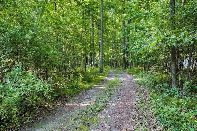 Silsbee Rd, Wayne, NY 14840 - photo 7