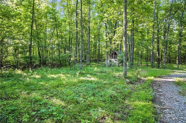 Silsbee Rd, Wayne, NY 14840 - photo 8