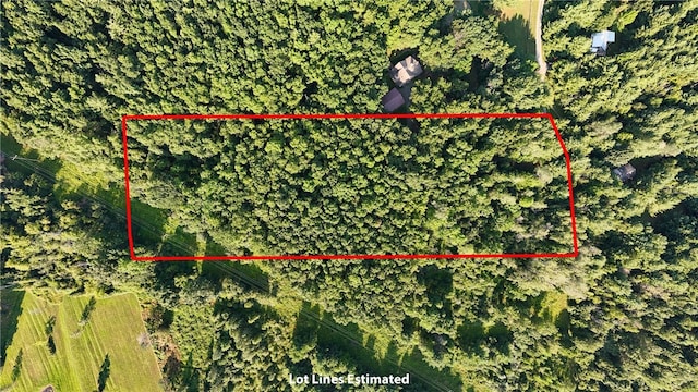 Silsbee Rd, Wayne, NY 14840 - photo 10