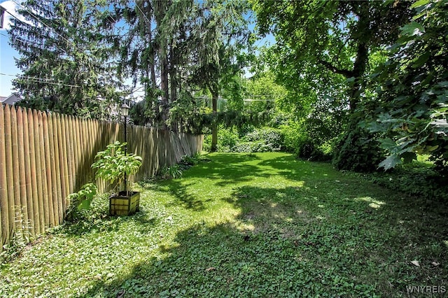 559 Potomac Ave, Buffalo, NY 14222 - photo 32