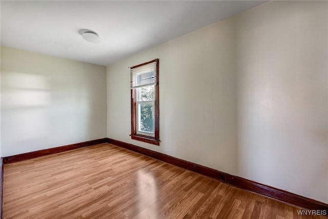 377 Walnut St, Buffalo, NY 14204 - photo 38