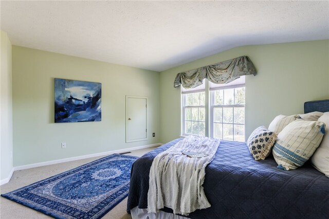 833 Surrey Hill Way, Henrietta, NY 14623 - photo 29