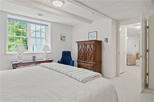 6 Sylvan Gln, Perinton, NY 14450 - photo 40