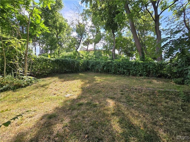 206 Lamont Ave, Geddes, NY 13209 - photo 3