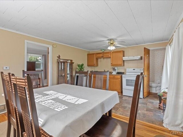 15 Stryker Ave, Owasco, NY 13021 - photo 28