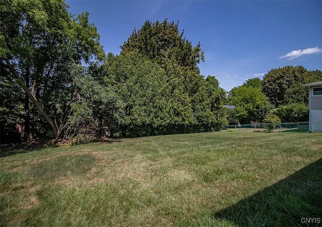 245 Mountainview Ave, Syracuse, NY 13224 - photo 15
