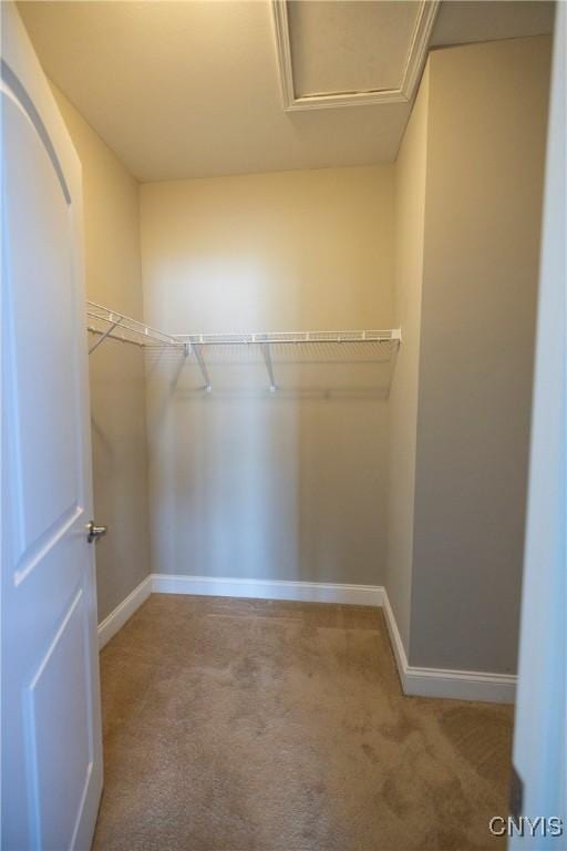 4707 Weller Hall Pl, Clay, NY 13041 - photo 22