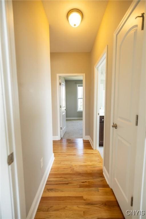 4707 Weller Hall Pl, Clay, NY 13041 - photo 28