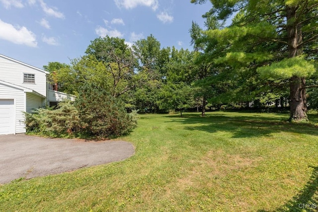 110 Foxcroft Ln, Manlius, NY 13066 - photo 42