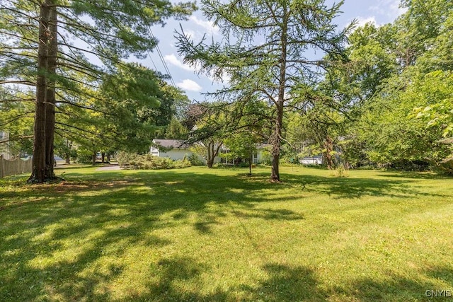 110 Foxcroft Ln, Manlius, NY 13066 - photo 40