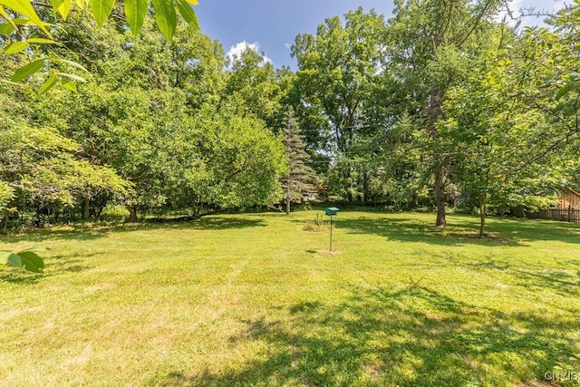 110 Foxcroft Ln, Manlius, NY 13066 - photo 43