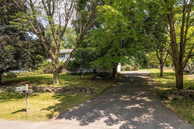 110 Foxcroft Ln, Manlius, NY 13066 - photo 46