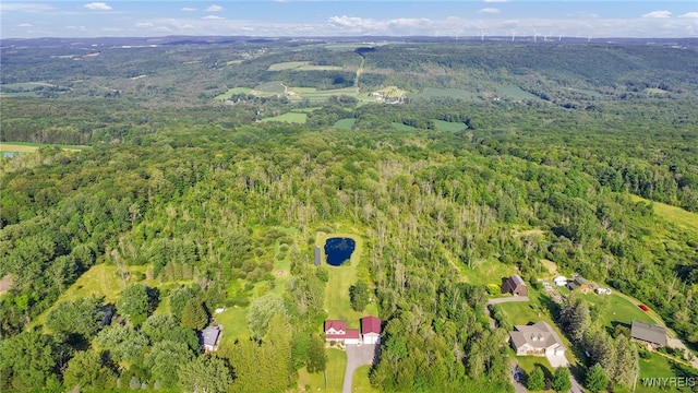 1845 Maxon Rd, Bennington, NY 14011 - photo 49