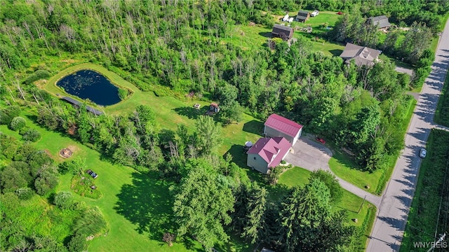 1845 Maxon Rd, Bennington, NY 14011 - photo 50