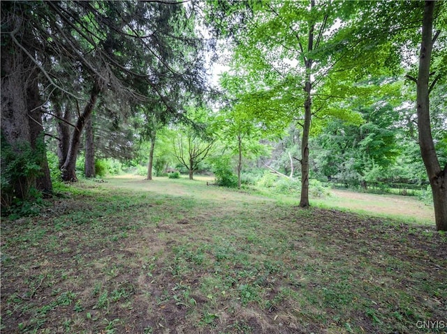 3796 Prospect St, Vernon, NY 13421 - photo 8