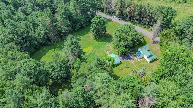 8794 Van Amber Rd, New Bremen, NY 13620 - photo 22