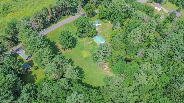 8794 Van Amber Rd, New Bremen, NY 13620 - photo 26