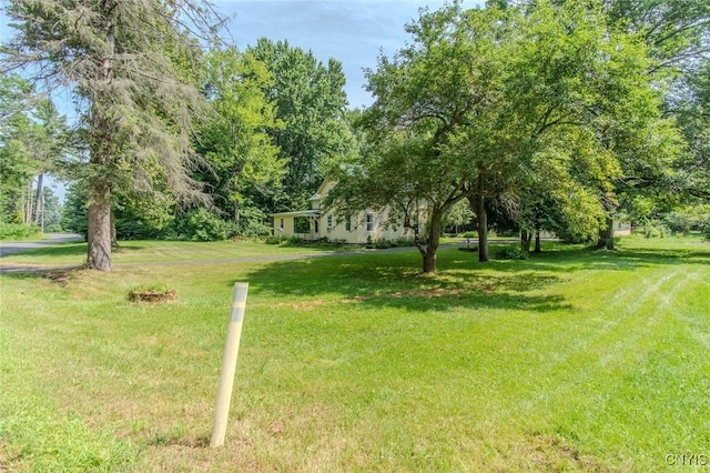 8794 Van Amber Rd, New Bremen, NY 13620 - photo 28