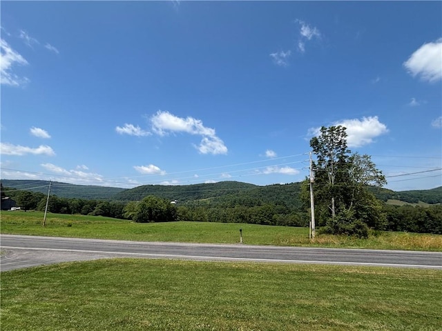 6996 County Highway 18, Stamford, NY 13739 - photo 19