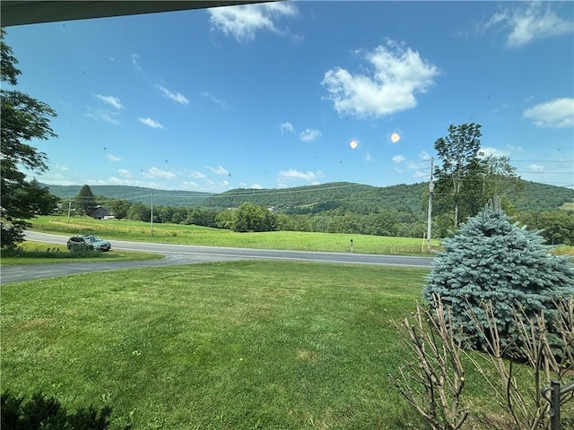 6996 County Highway 18, Stamford, NY 13739 - photo 32