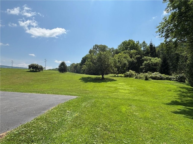 6996 County Highway 18, Stamford, NY 13739 - photo 39