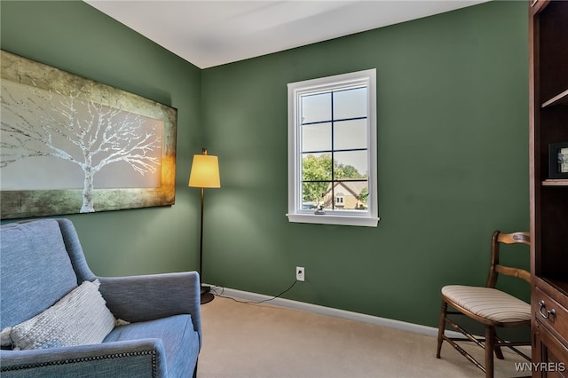 5220 Bridle Path Ln, Lewiston, NY 14092 - photo 36
