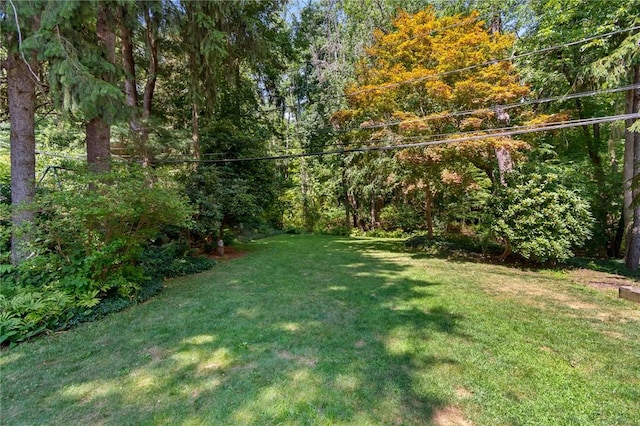 59 Landing Rd N, Brighton, NY 14625 - photo 7