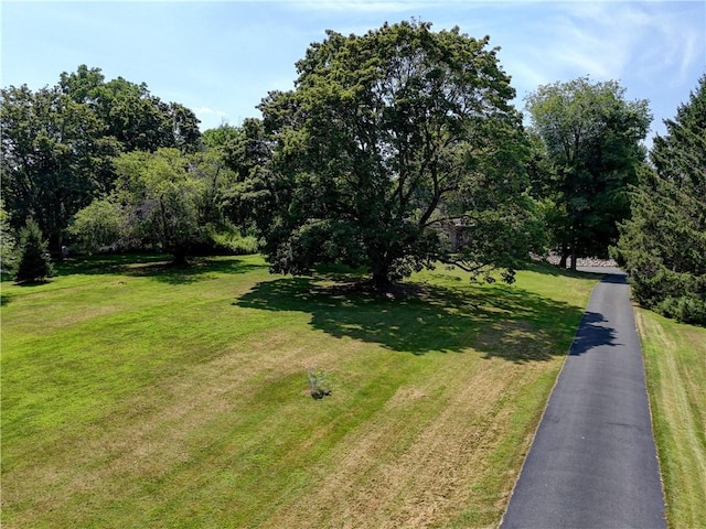 4809 Clover St, Mendon, NY 14472 - photo 2