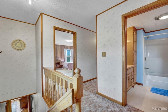 451 W Main St, Arcade, NY 14009 - photo 34