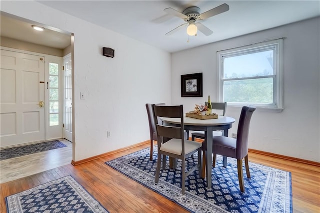 33 David Ave, Brighton, NY 14620 - photo 5