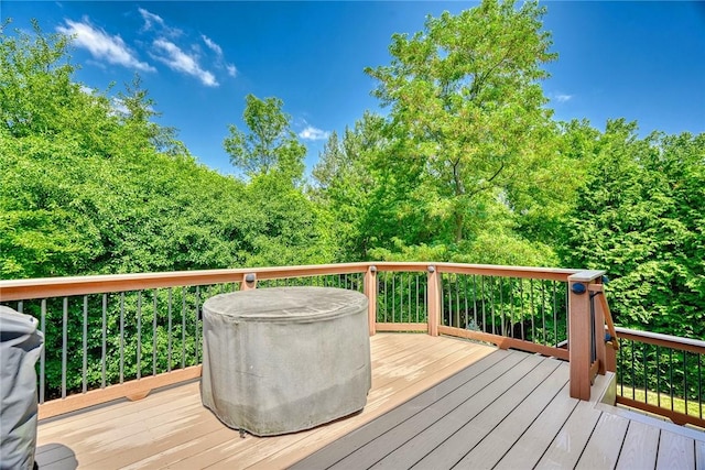 108 New Tudor Rd, Henrietta, NY 14534 - photo 41