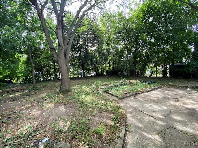 1011 Milton Ave, Syracuse, NY 13204 - photo 19