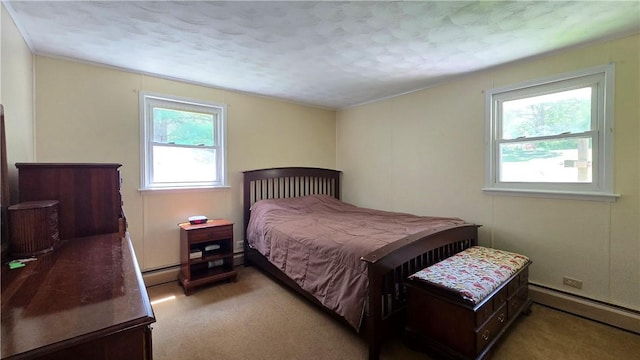 35 Main St, Ashland, NY 14894 - photo 19