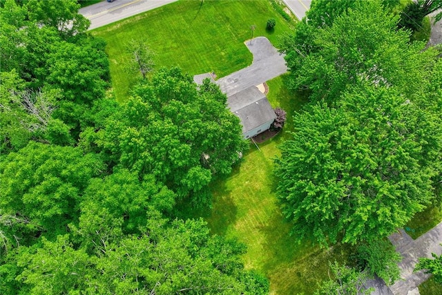 435 Bills Rd, Walworth, NY 14502 - photo 44