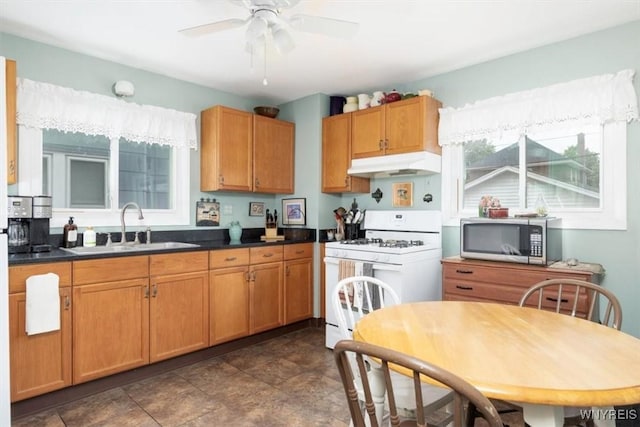 34 Downing St, Buffalo, NY 14220 - photo 9