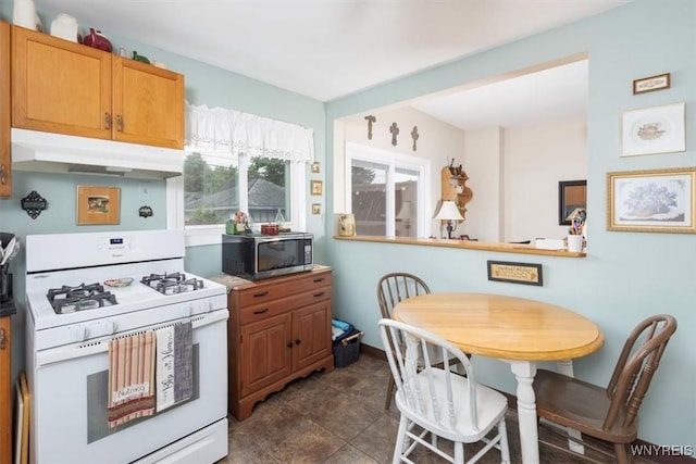 34 Downing St, Buffalo, NY 14220 - photo 11