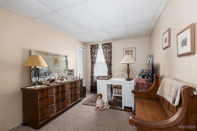 34 Downing St, Buffalo, NY 14220 - photo 15