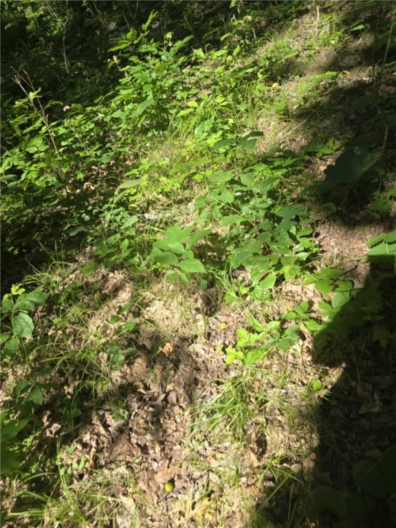 Whitcomb Rd, Bath, NY 14879 - photo 2