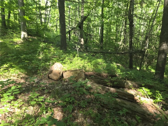 Whitcomb Rd, Bath, NY 14879 - photo 3