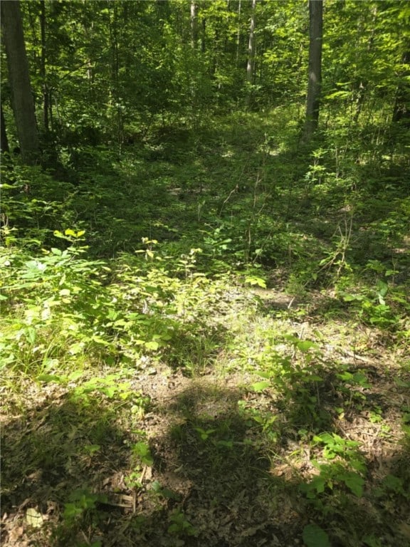 Whitcomb Rd, Bath, NY 14879 - photo 4