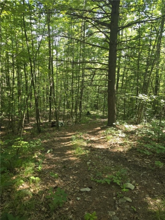 Whitcomb Rd, Bath, NY 14879 - photo 6