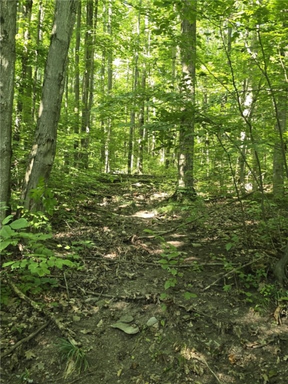 Whitcomb Rd, Bath, NY 14879 - photo 8