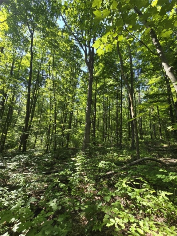 Whitcomb Rd, Bath, NY 14879 - photo 9