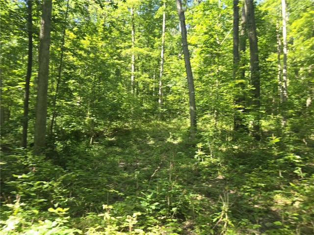 Whitcomb Rd, Bath, NY 14879 - photo 11